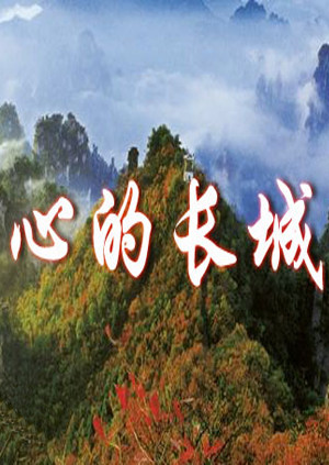 湖南省全民国防教育文艺晚会